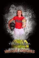 profile image for Allison Wilson