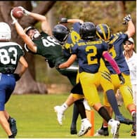 Harrison Hewling Football recruiting profile image