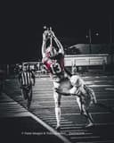 profile image for Tanner B Ehmen