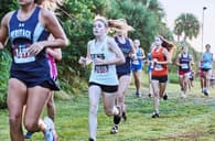 Dayshia Malandrino Women's Track recruiting profile image