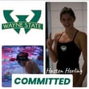 profile image for Hasten Horling