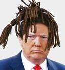 profile image for Donald Trump