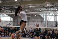 Sydney Mitchell Women's Volleyball recruiting profile image