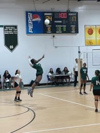 Destiny Stephens Women's Volleyball recruiting profile image