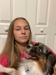 Taylor Vigna Softball recruiting profile image