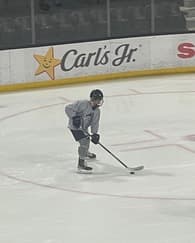 Michael D’Ovidio Men's Ice Hockey recruiting profile image