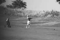 Drew Stultz Men's Golf recruiting profile image