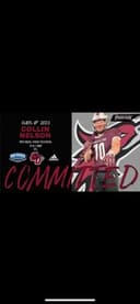 profile image for Collin Nelson