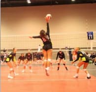 Kadiann Perry Women's Volleyball recruiting profile image