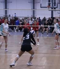Alena Naddaf Women's Volleyball recruiting profile image