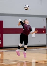 Alayna Toney Women's Volleyball recruiting profile image