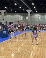 Robert Perales Men's Volleyball recruiting profile image