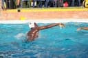 profile image for Sibusiso D Sibanda Mr