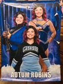 profile image for Autum Robins