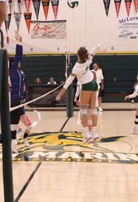 Brianna Nottingham Women's Volleyball recruiting profile image