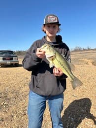 Desi Loomis Baseball recruiting profile image