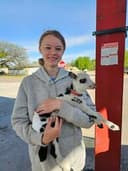 profile image for Laney Vandeveer