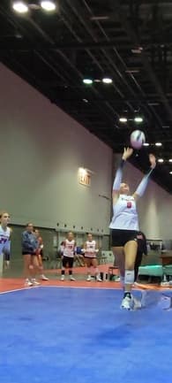 Jersey Webb Women's Volleyball recruiting profile image