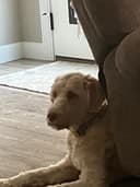 profile image for Grayson Scott