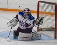 Alexander Fernandes Men's Ice Hockey recruiting profile image