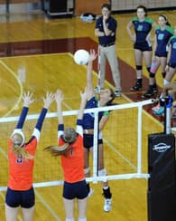 Caroline Ostman Women's Volleyball recruiting profile image