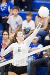 Maggie Seifert Women's Volleyball recruiting profile image