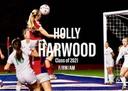 profile image for Holly H Harwood