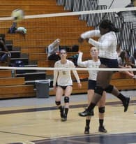 Sarah Herman Women's Volleyball recruiting profile image