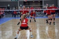 Haley Koval Women's Volleyball recruiting profile image