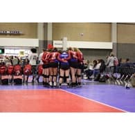 Kaitlyn Insogna Women's Volleyball recruiting profile image