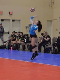 Harmony Laapui Women's Volleyball recruiting profile image
