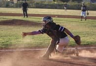 Calogero DiCamillo Baseball recruiting profile image
