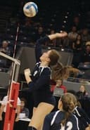 profile image for Breanna Wickerink