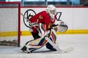 profile image for Luke M Neilson