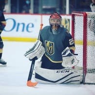 Alexa Novak Women's Ice Hockey recruiting profile image