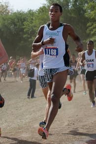 Alexander Johansson Men's Track recruiting profile image