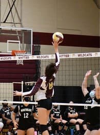 Samantha Azzari Women's Volleyball recruiting profile image