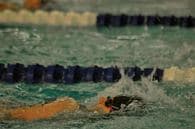 Brianna Iverson Women's Swimming recruiting profile image