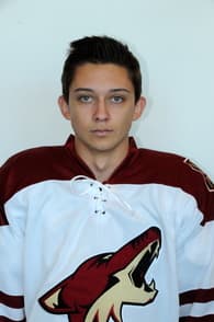 Alex Aguirre Men's Ice Hockey recruiting profile image