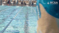 Video of Highlights from Dual in the Pool Swim Meet - October 2022