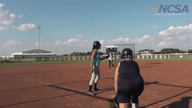 Video of August 2015 Batting and Fielding