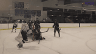 Video of Ryan Radwan-Varsity Hockey-Plymouth High School-Senior Season-2016