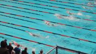 Video of 2015 Long Course Speedo Sectionals