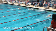 Video of 2019 Highlights - 1650M Free