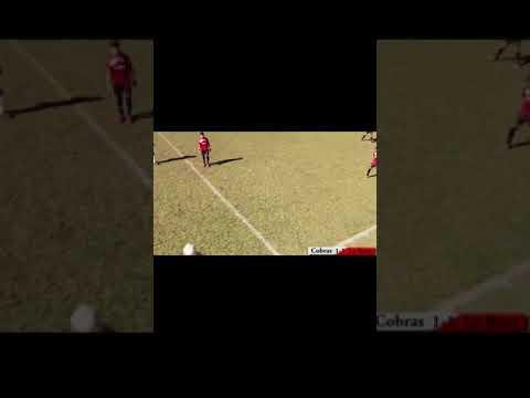 Video of Diego Cruz highlights