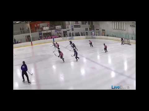 Video of CAHA Select Skate Pink #81