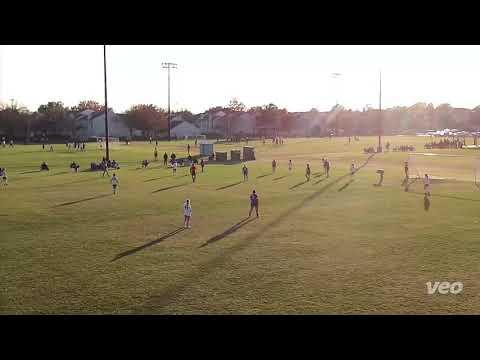 Video of Arlington Showcase 2020