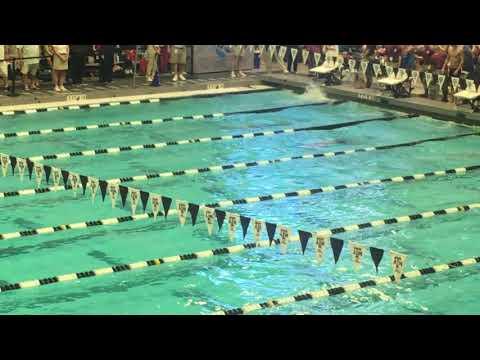 Video of 2019 Speedo Sectionals 100 Free Prelims: 3rd lane from top: silver cap