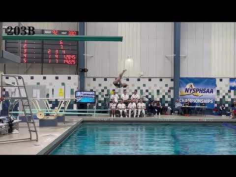 Video of 2022 - 3m, 1m & NYS Diving Championships