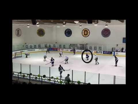 Video of 2021-22 hockey highlights 